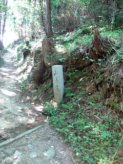 111202_1.jpg