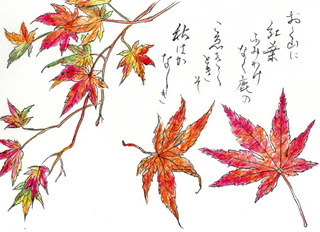 181023_紅葉.jpg