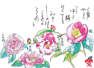 181224_つばき.jpg