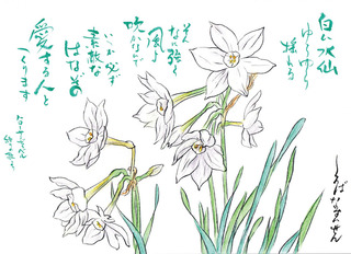 190114_白花水仙.jpg