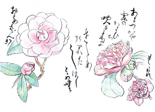 190220_乙女山茶花・桃割れ.jpg