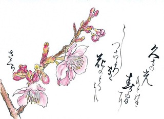 190306_桜.jpg