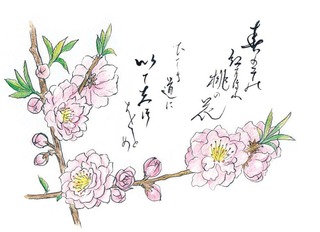 190312_桃.jpg