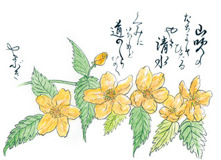 190508_やまぶき.jpg