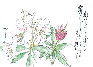 190528_つつじ.jpg