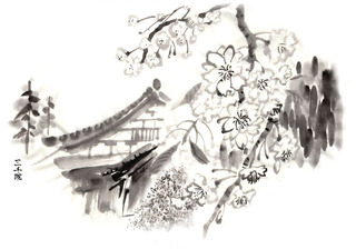大原三千院と桜.jpg