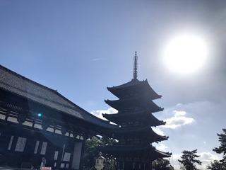 興福寺五重塔.jpg
