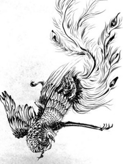 鳳凰_01.jpg