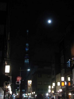 IMG_1768.jpg